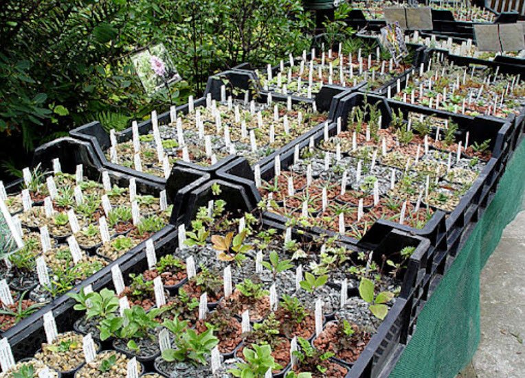 Walter-Meusel-Stiftung, Germany